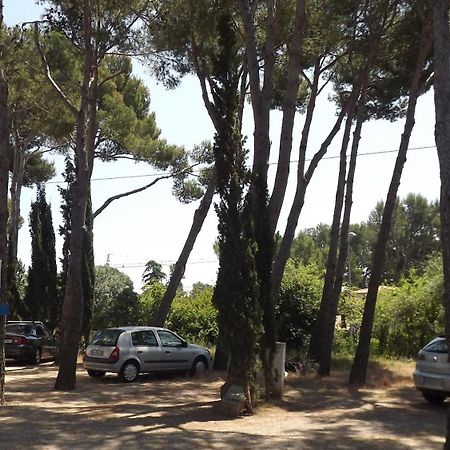 Rvapartaments Treumal Park Platja d'Aro Kültér fotó